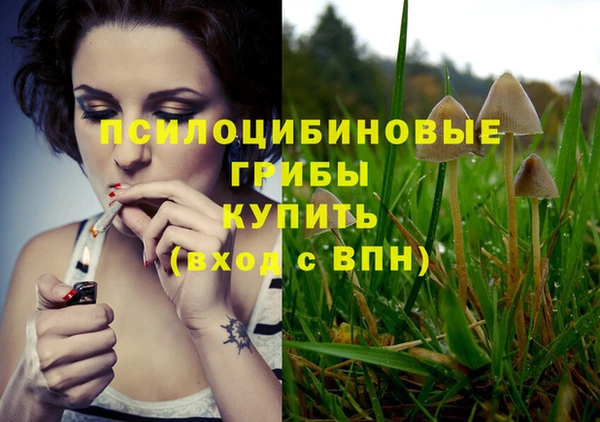 винт Белокуриха